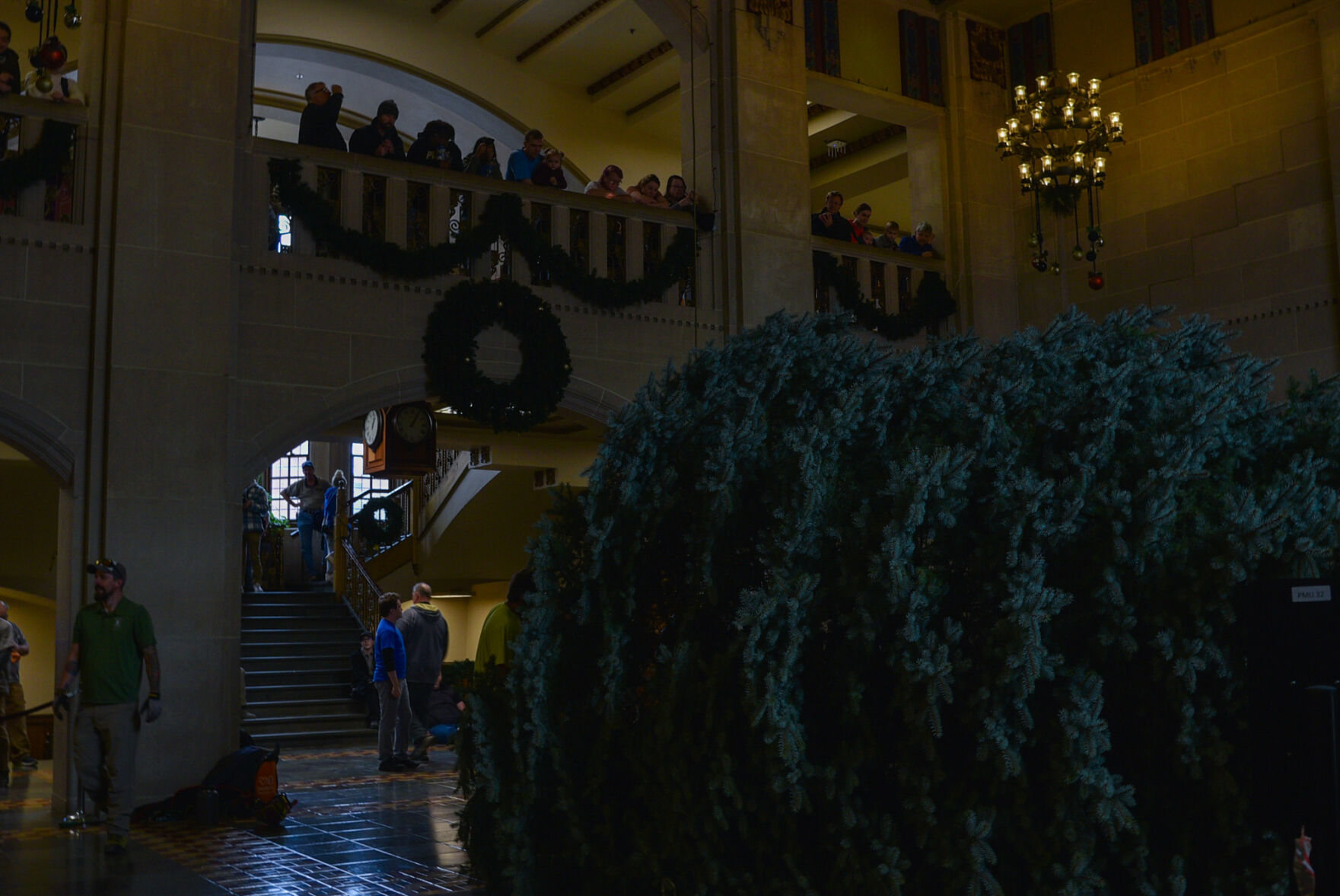 11/28/22 PMU Christmas tree arrives from Lafayette, people looking at the tree